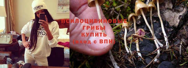 скорость Алзамай